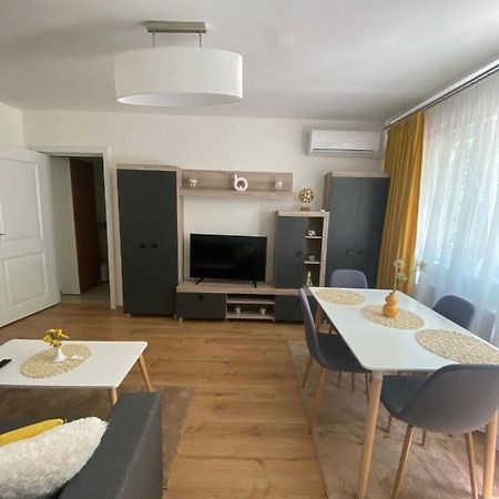 Apartamentul Gaviota 蒂米什瓦拉 外观 照片