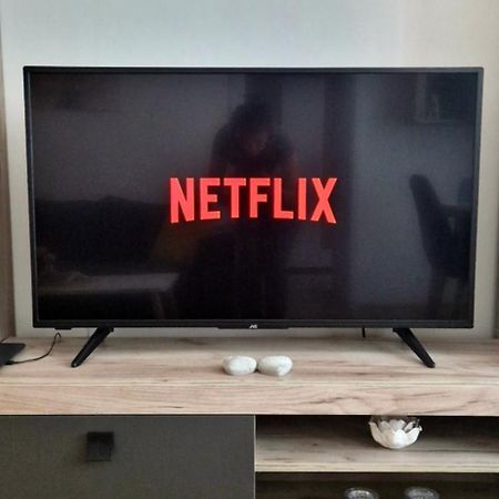 Apartamentul Gaviota 蒂米什瓦拉 外观 照片