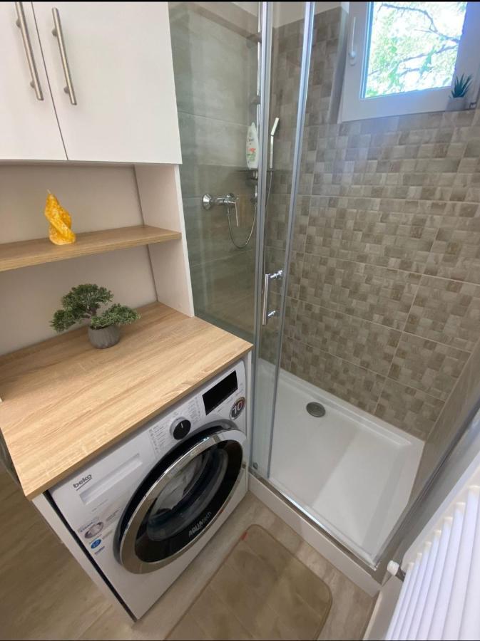 Apartamentul Gaviota 蒂米什瓦拉 外观 照片