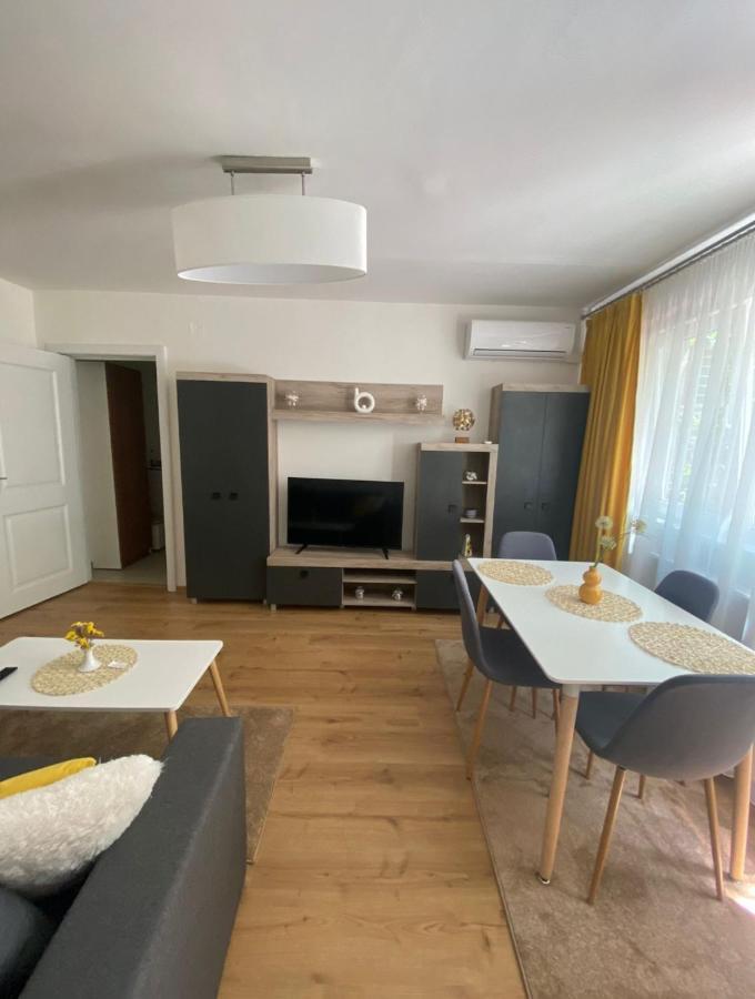 Apartamentul Gaviota 蒂米什瓦拉 外观 照片