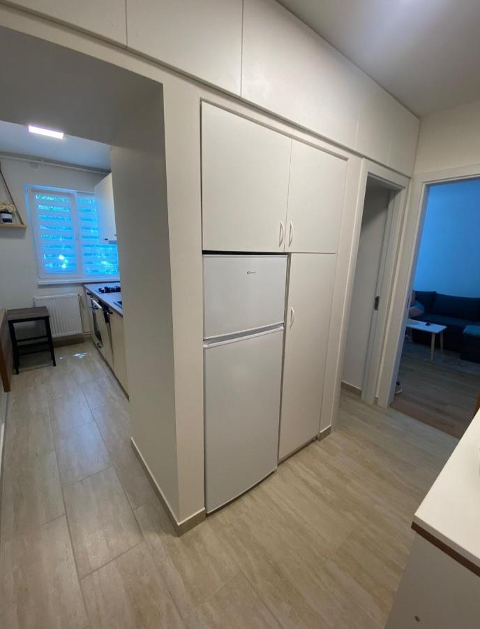 Apartamentul Gaviota 蒂米什瓦拉 外观 照片