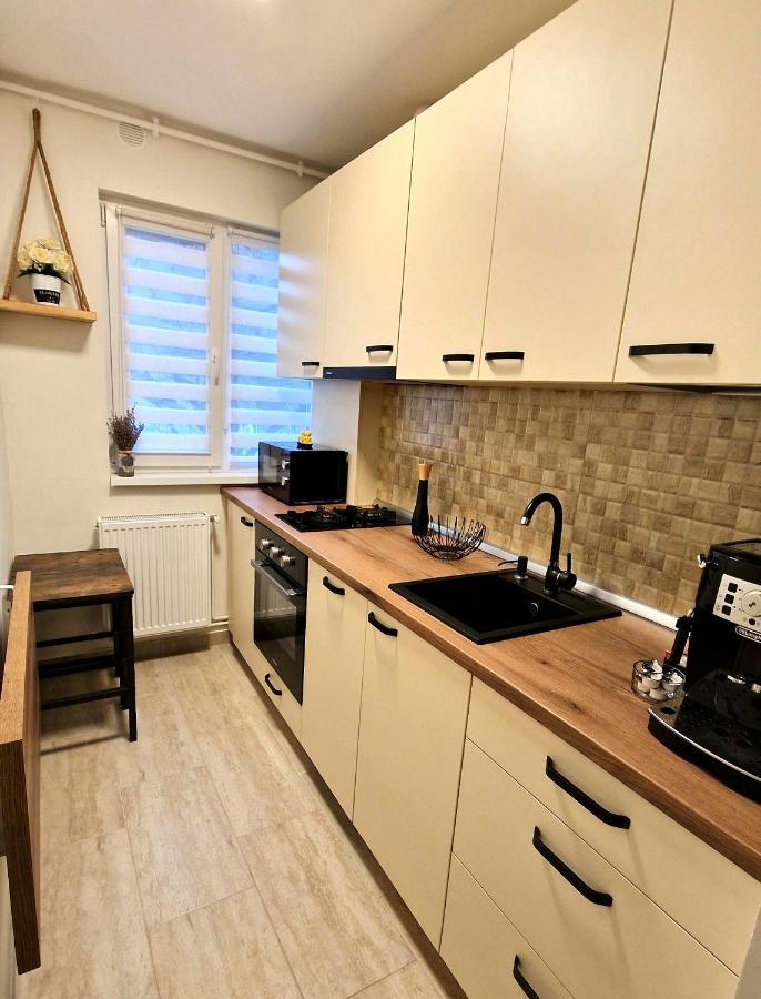 Apartamentul Gaviota 蒂米什瓦拉 外观 照片
